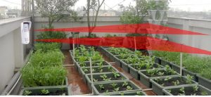 giải pháp chống trộm đột nhập nhà phố